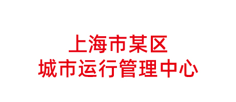 上海市某區城市運行管理中心項目